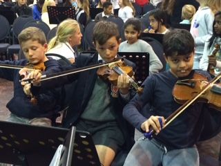 Violins