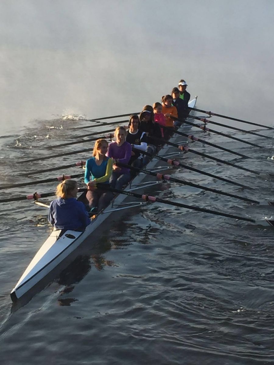 Long row 1