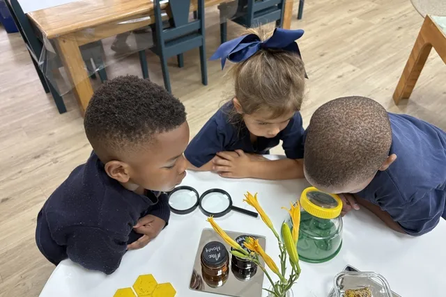 A Honeybee Adventure in Grade RRR