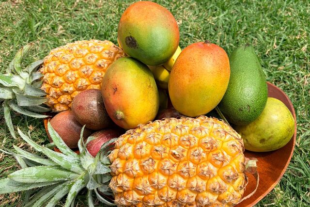 A Taste of Handa’s Surprise