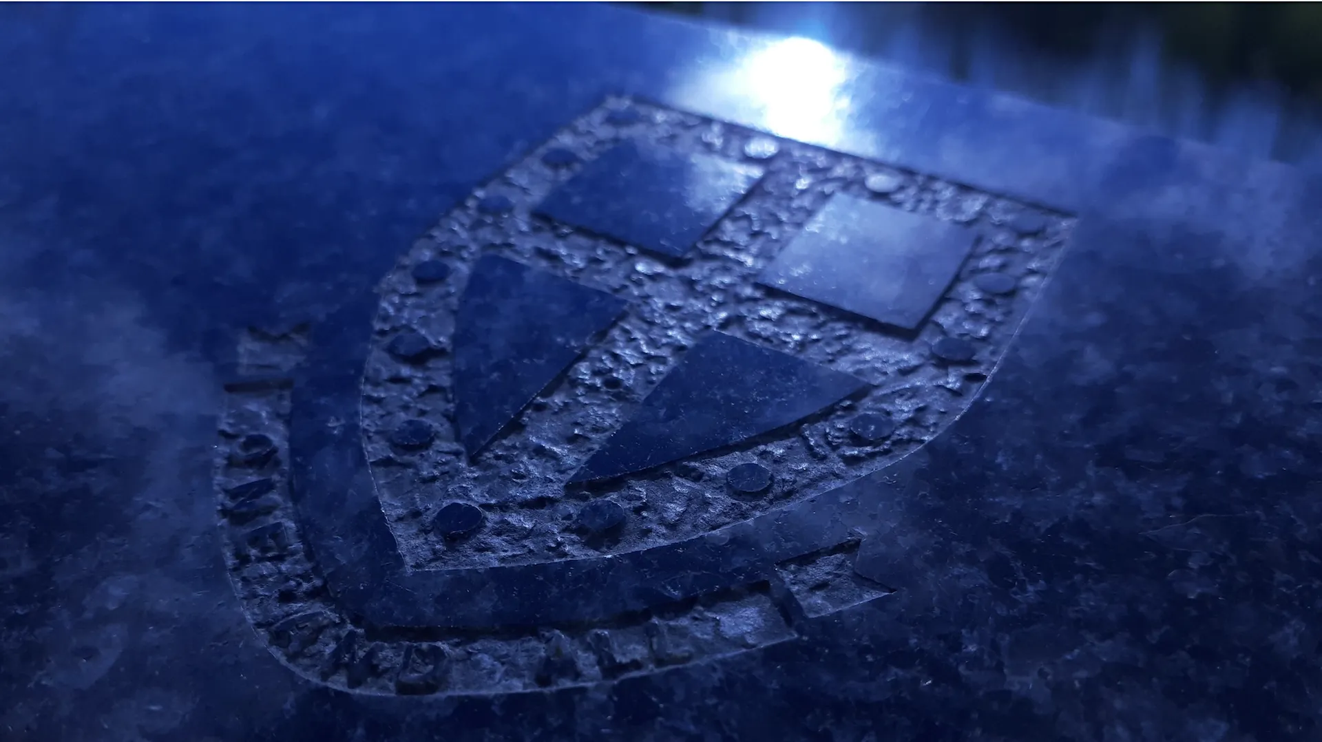 Blue logo