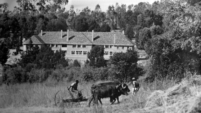 Fundraising for the Collins and Mountstephens Boarding House Modernization