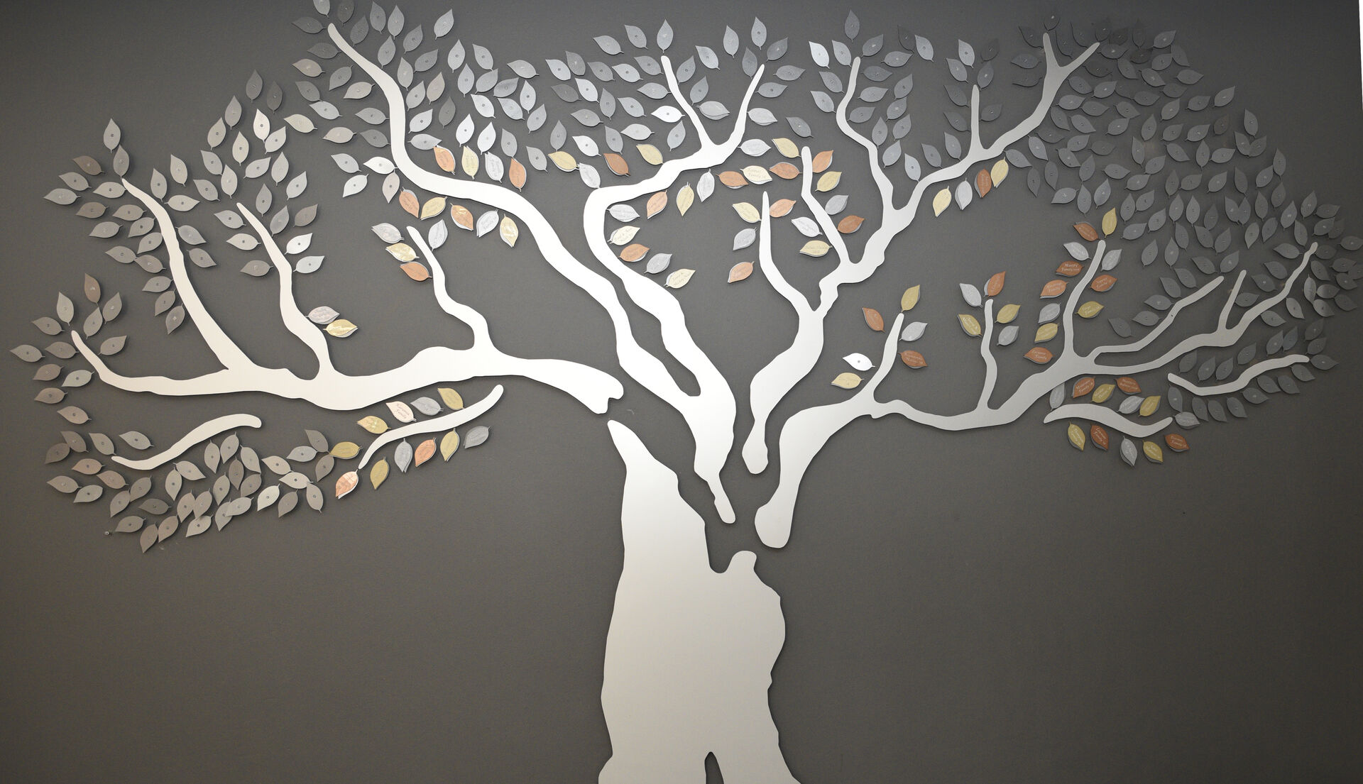 Cropped and edited Legacy tree image