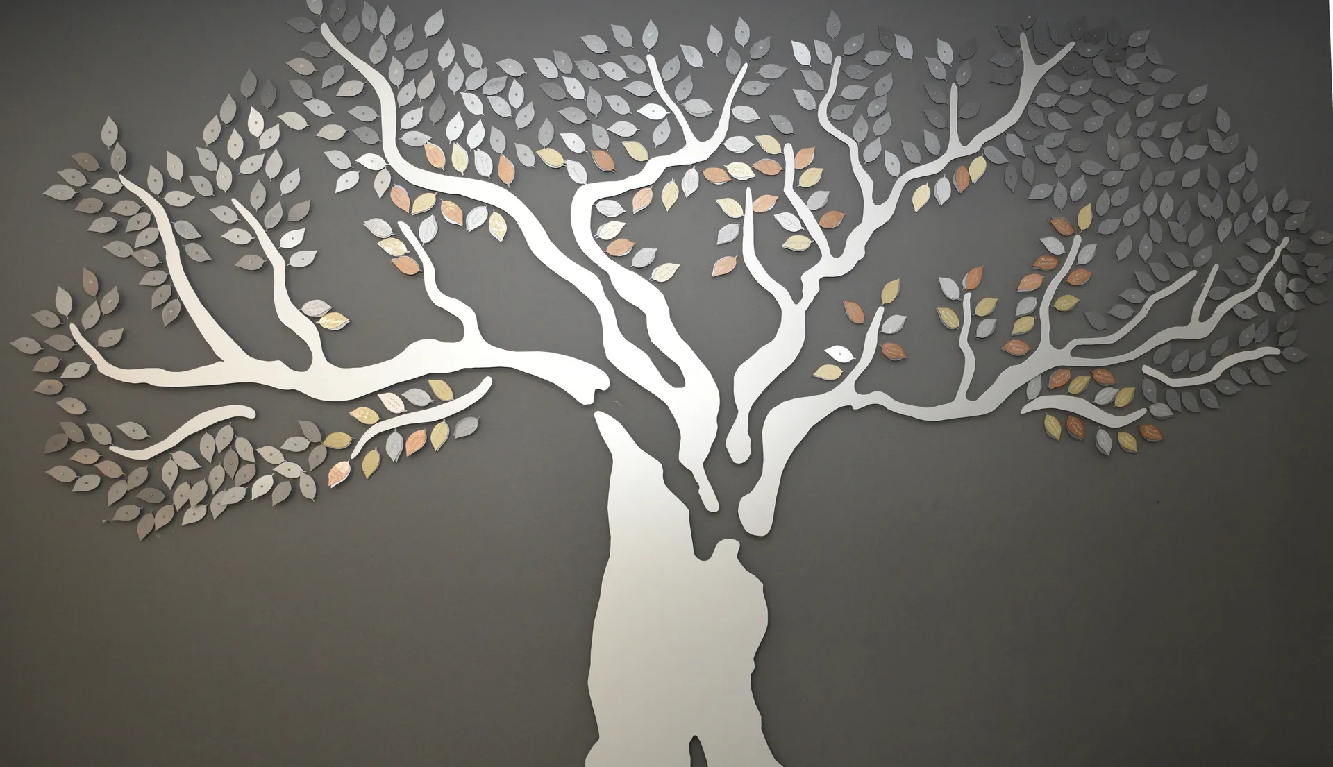Cropped and edited Legacy tree image