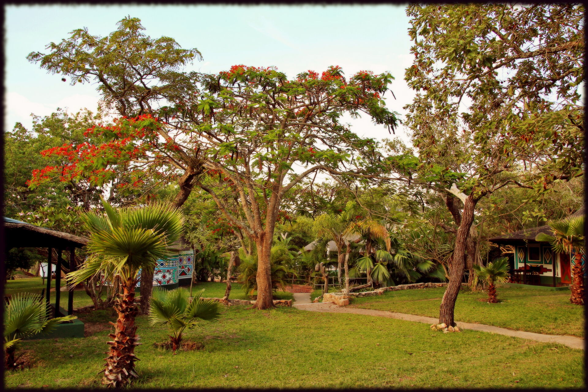 Timbavati Safari Lodge 04