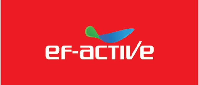 Great Africa Hair Company