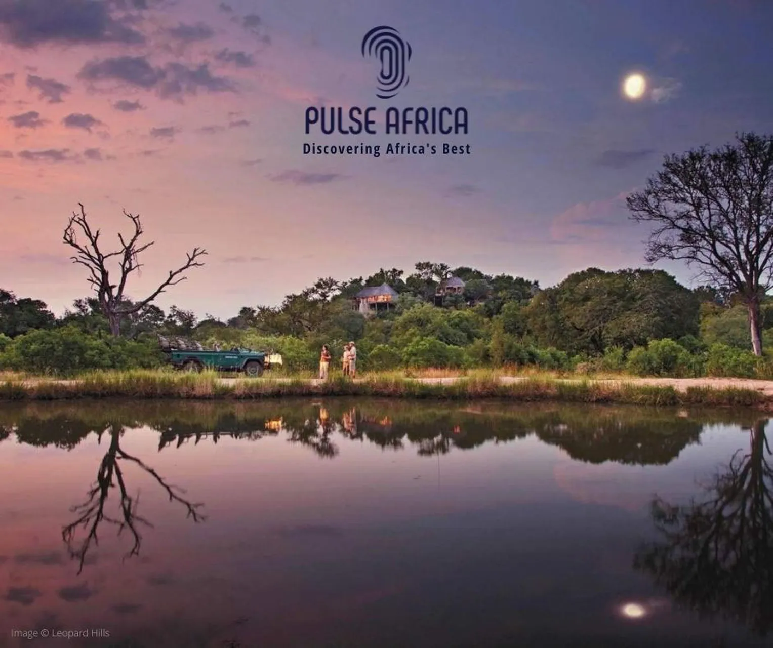 1 Pulse Africa