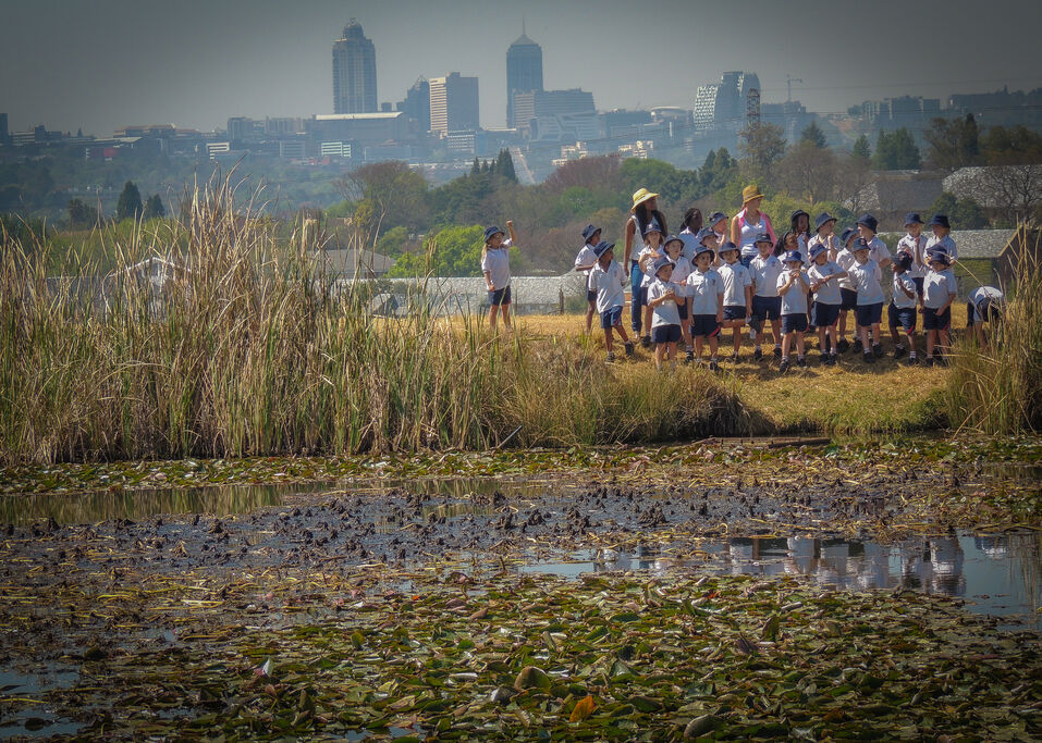 Green Campus | St Stithians College