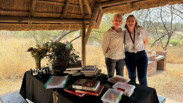 E8c8782e 430e 4e5d 9fc3 04957e72cac9