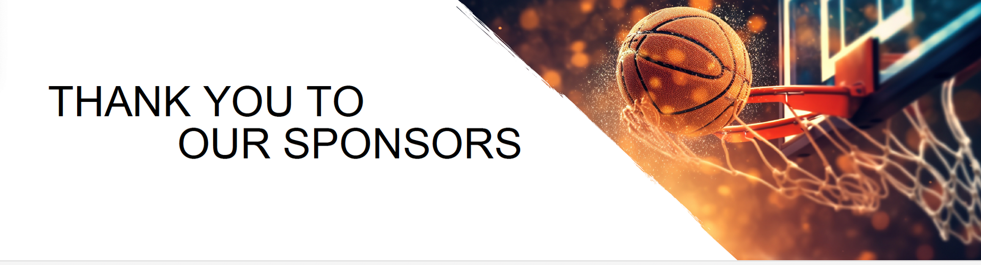Thank you to our Sponsors