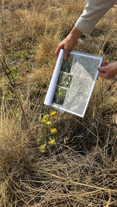 04c013ab 3202 4b97 9f84 48e0a039c444