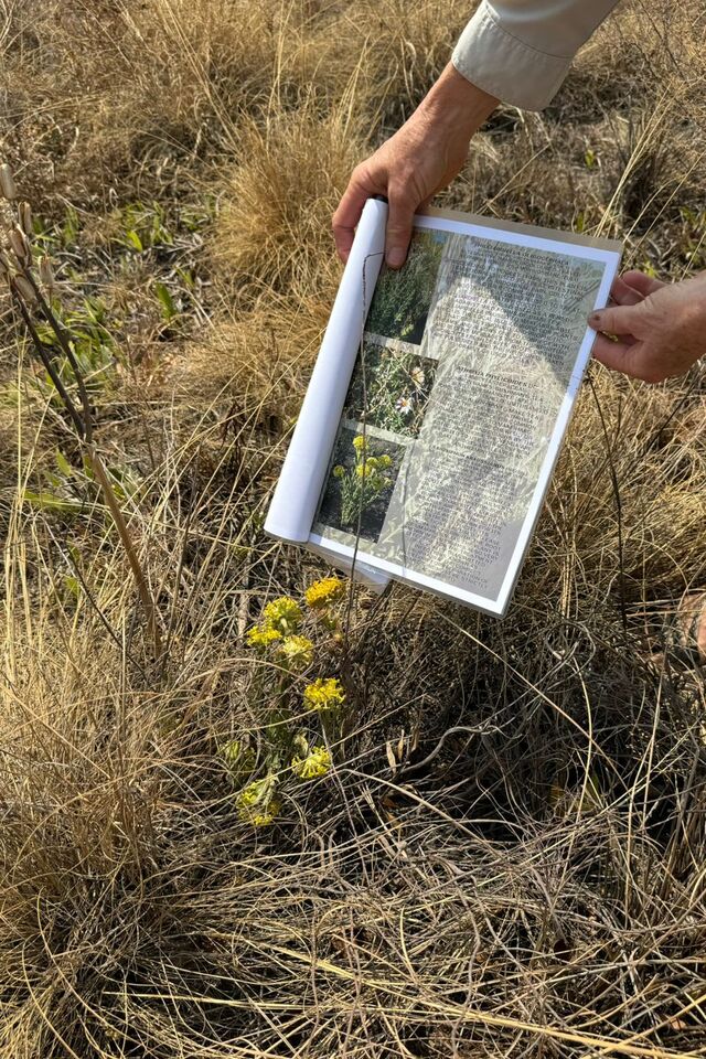 04c013ab 3202 4b97 9f84 48e0a039c444