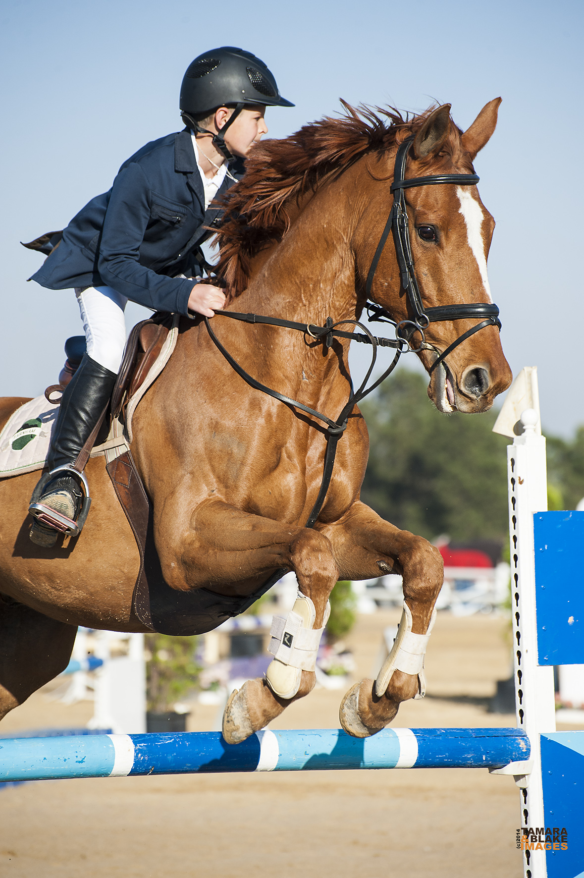 DOBBY_-_TOMTOM_Aug_2014_w0071702G1ds-20140803_082324_206-9074