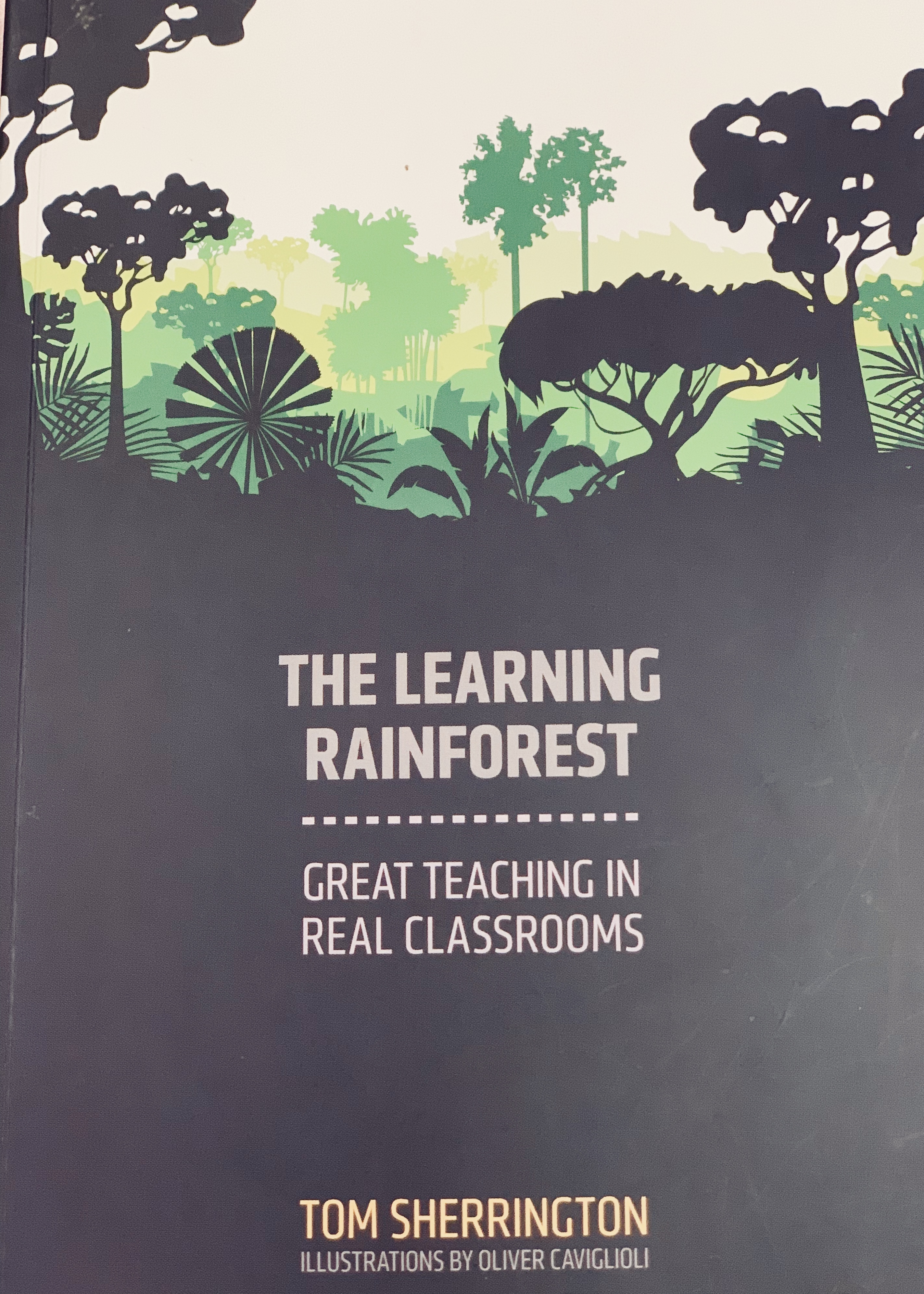 Learning_Rainforest