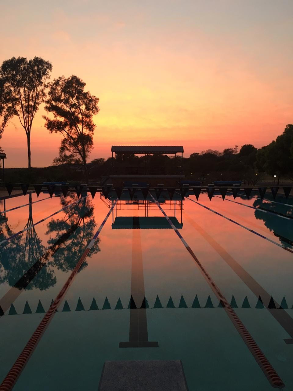 Aquatic_Sunrise_