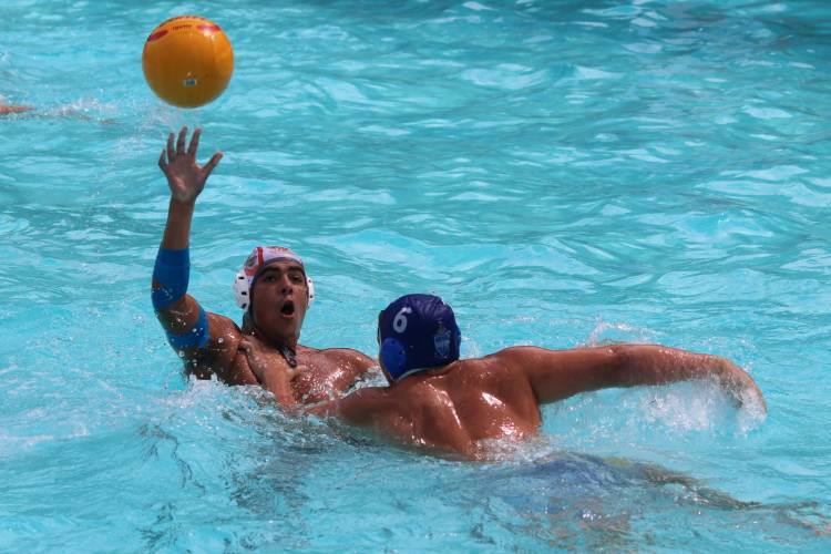 Water_polo_2015_4