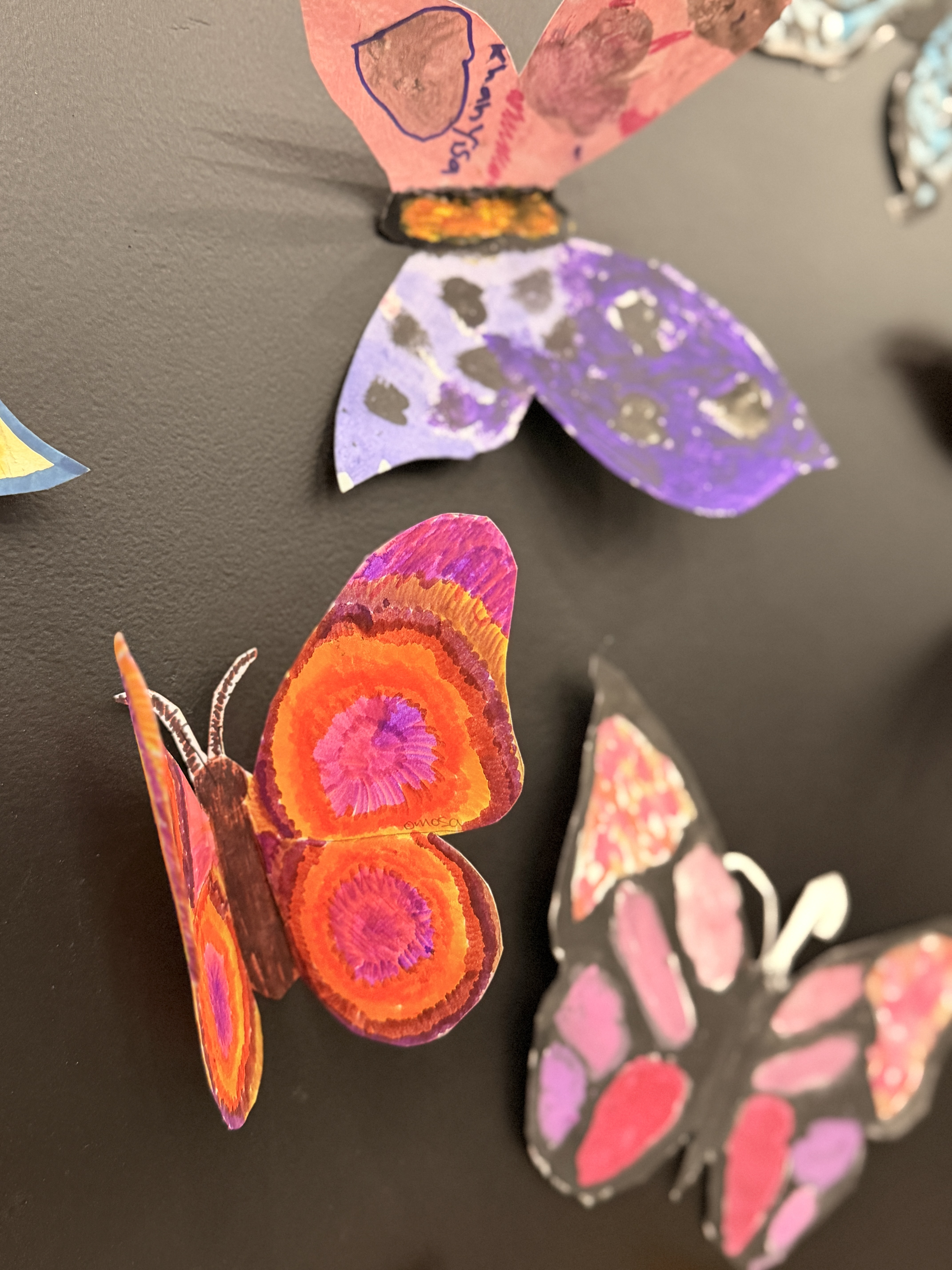 Creative Arts Eve GP Term 3 2026 10