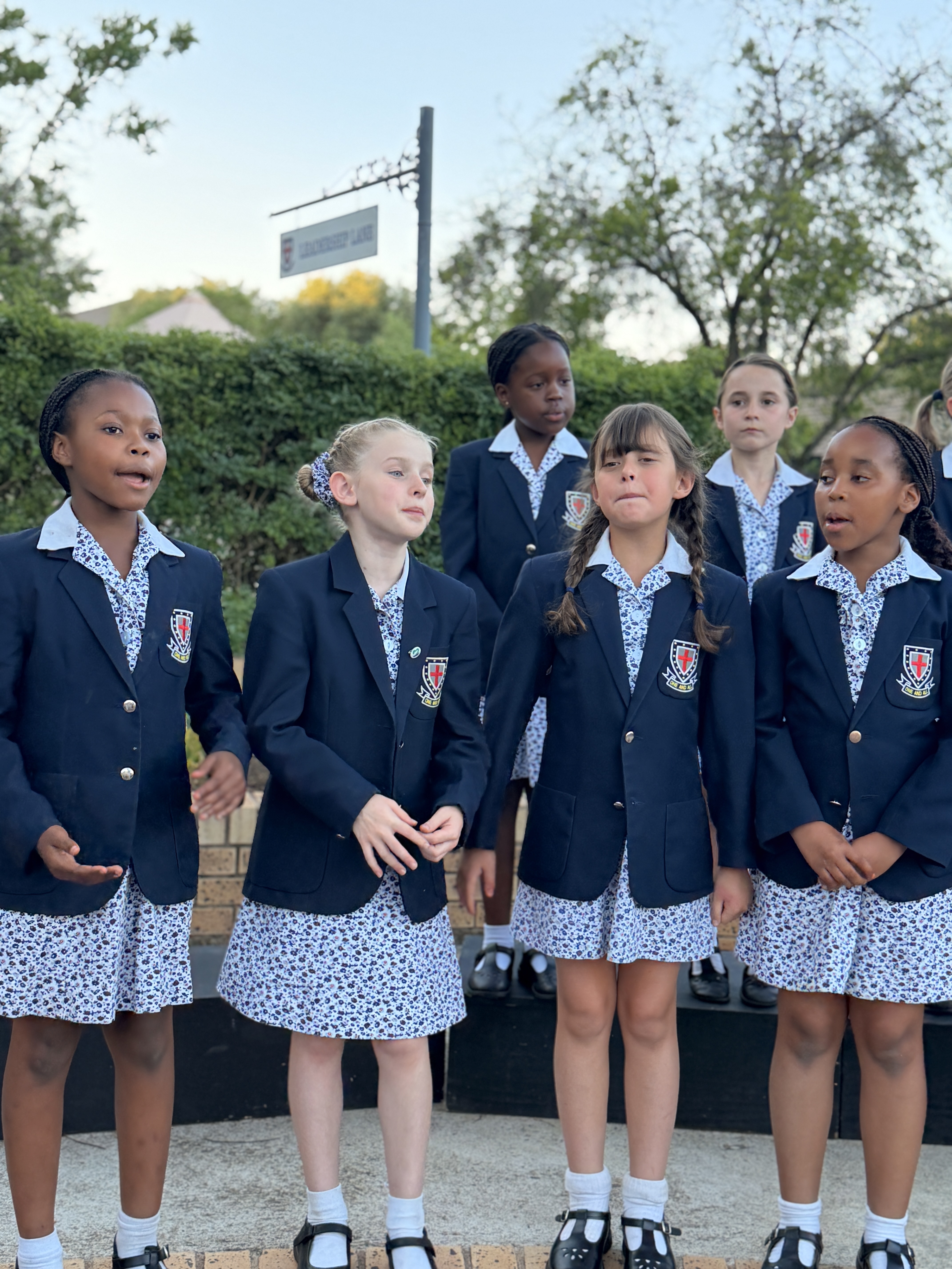 Creative Arts Evening Term 3 GP 2026 28