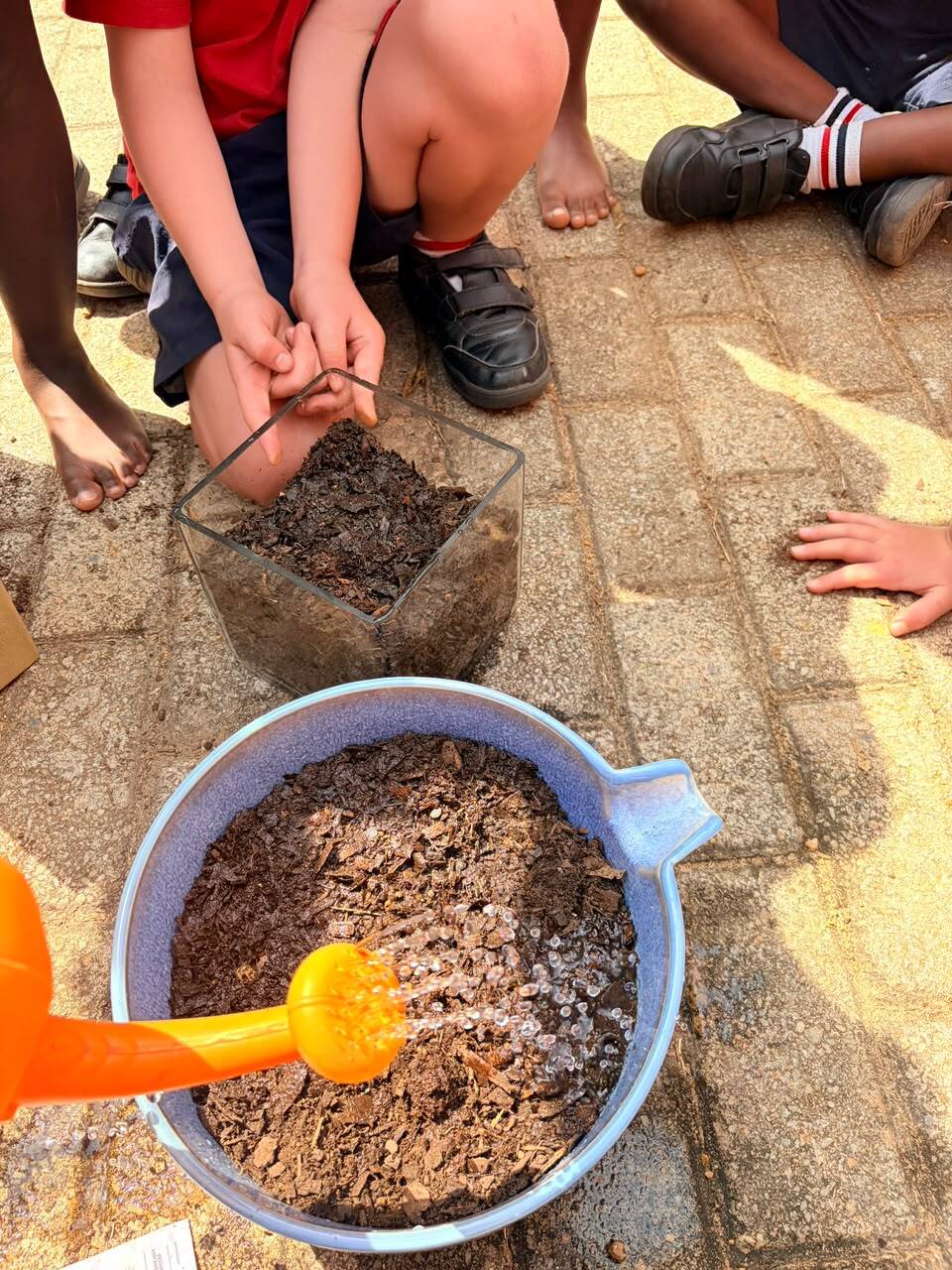 Grade R Spring Walk 2026 19