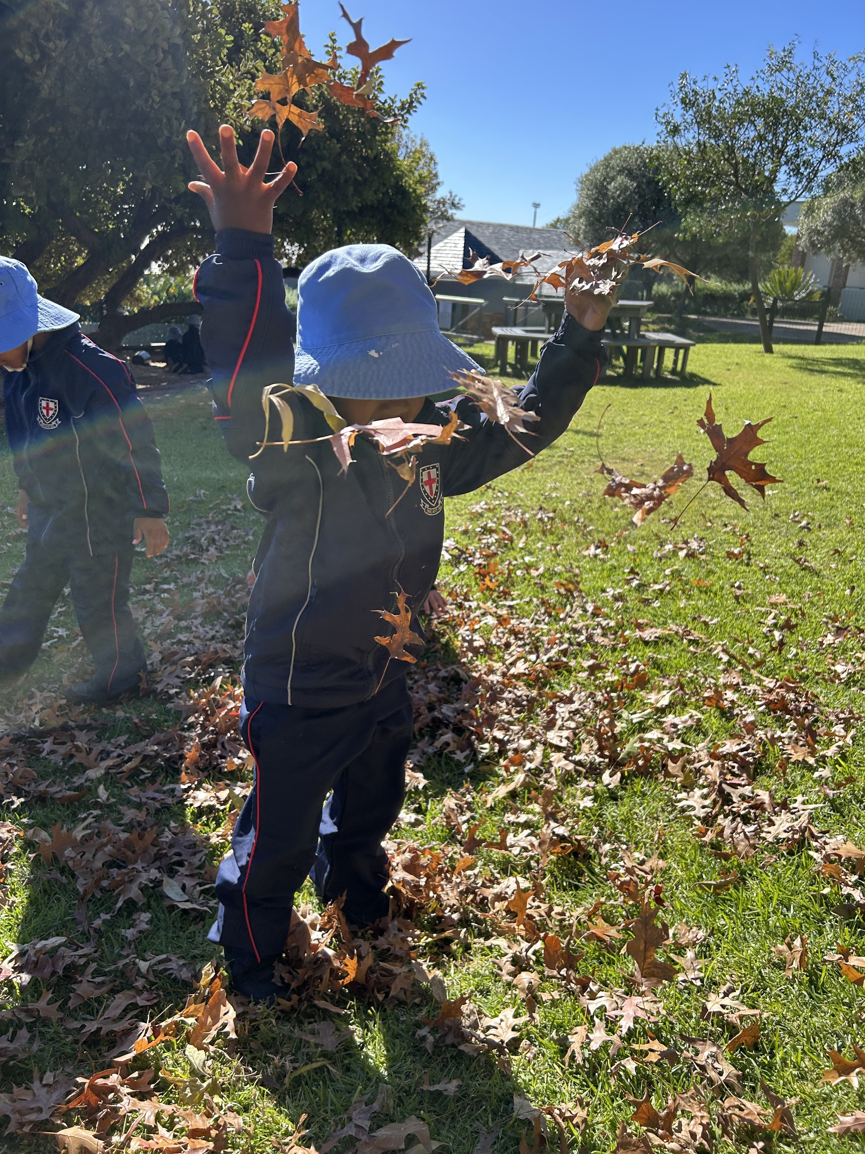 Grade RRR2026 Autumn 15