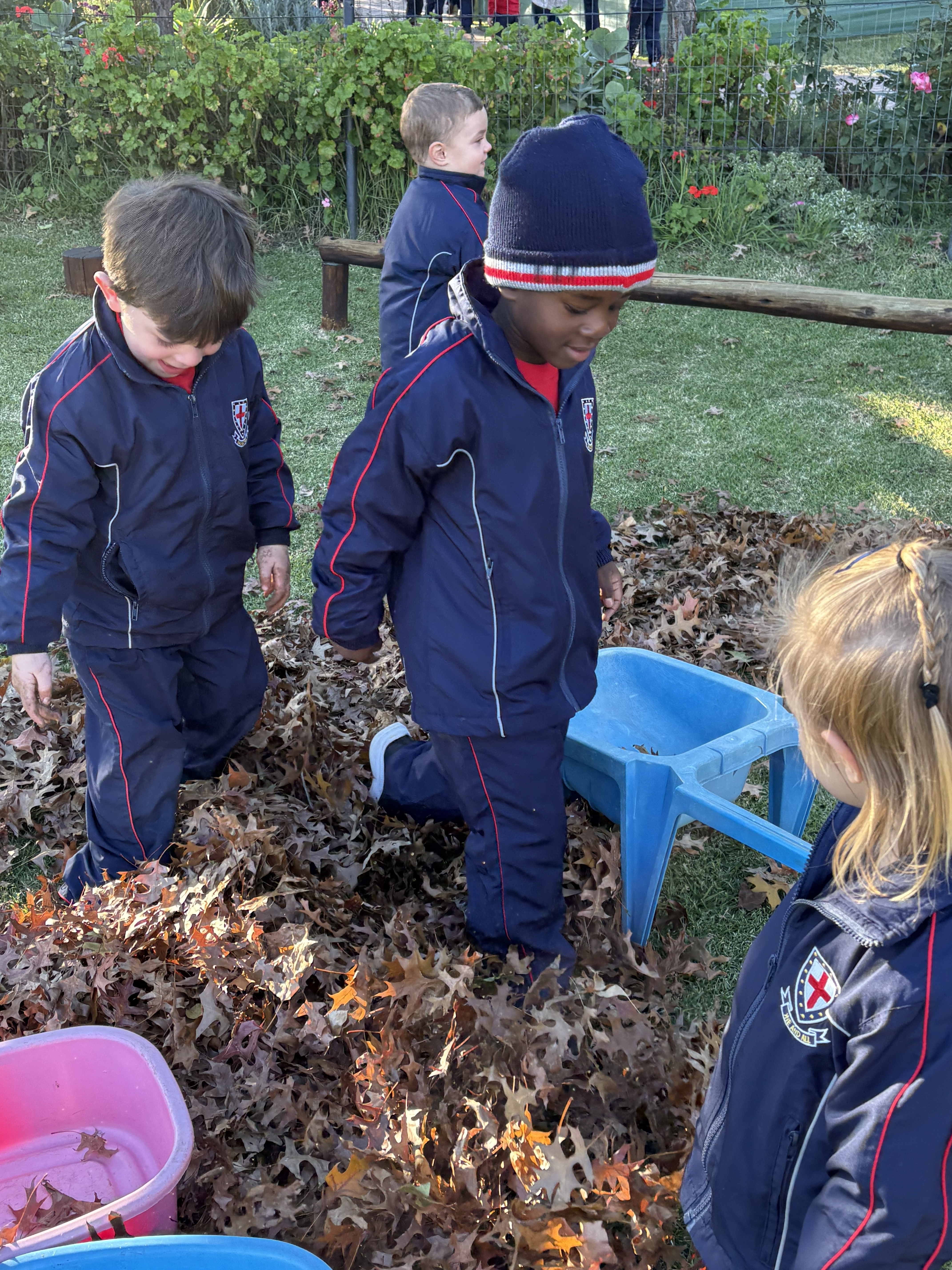 Grade RRR2026 Autumn 4