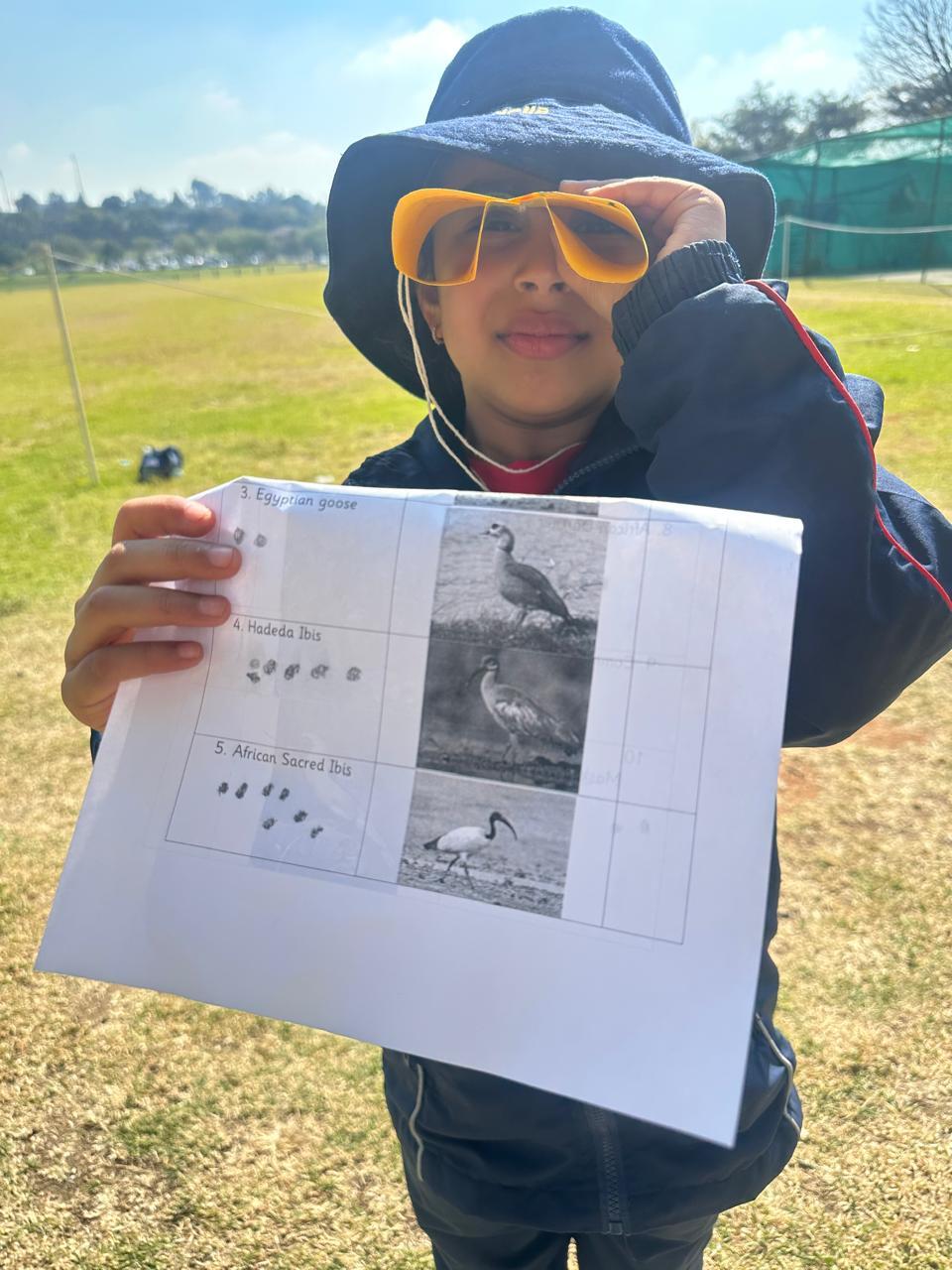 Grade R Birds Term2 2026 11