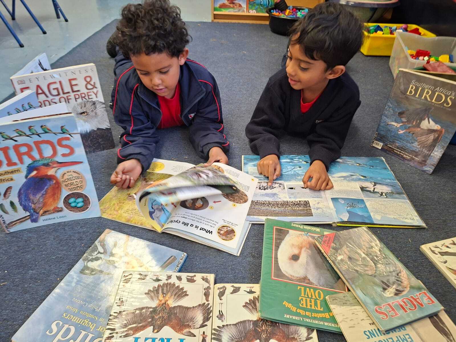 Grade R Birds Term2 2026 12