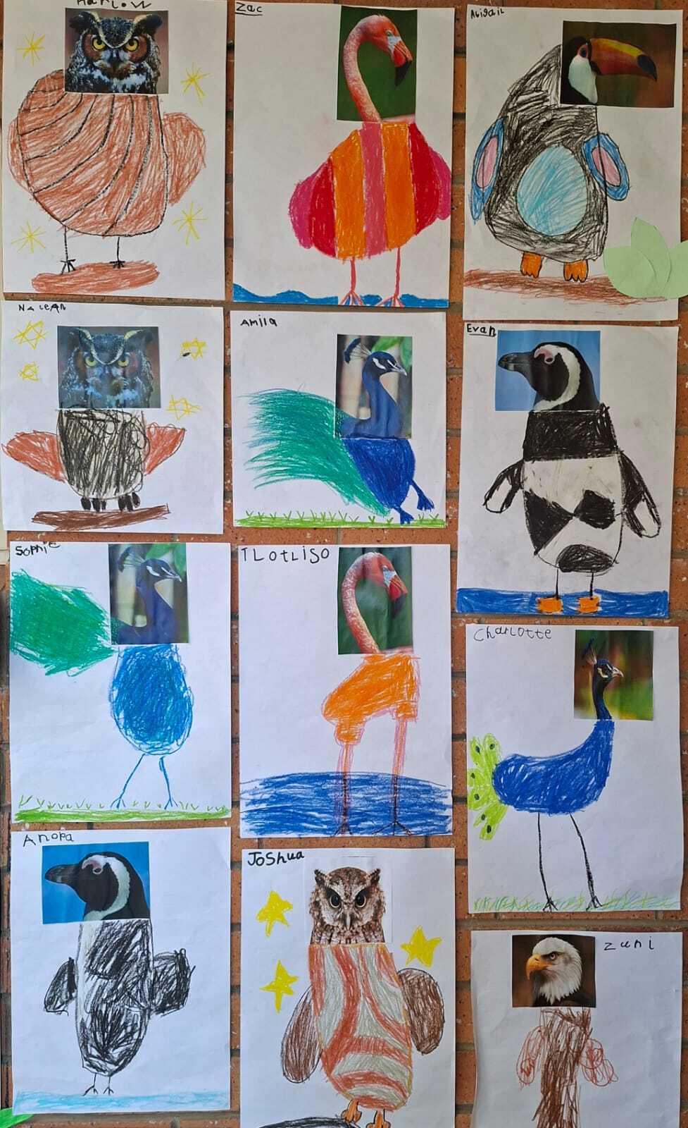 Grade R Birds Term2 2026 2