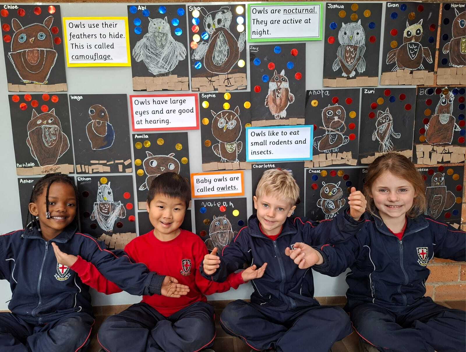Grade R Birds Term2 2026 29