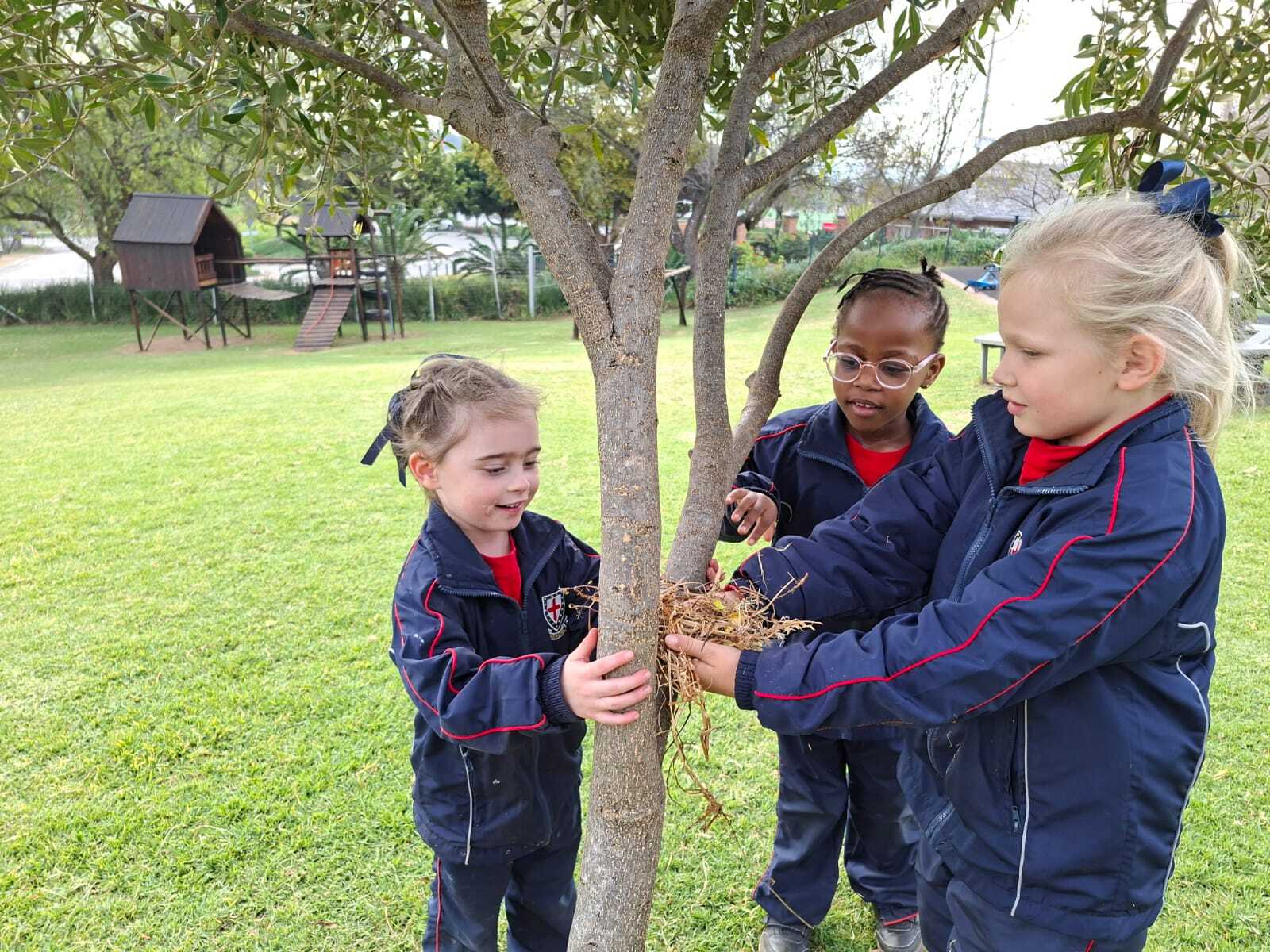 Grade R Birds Term2 2026 31