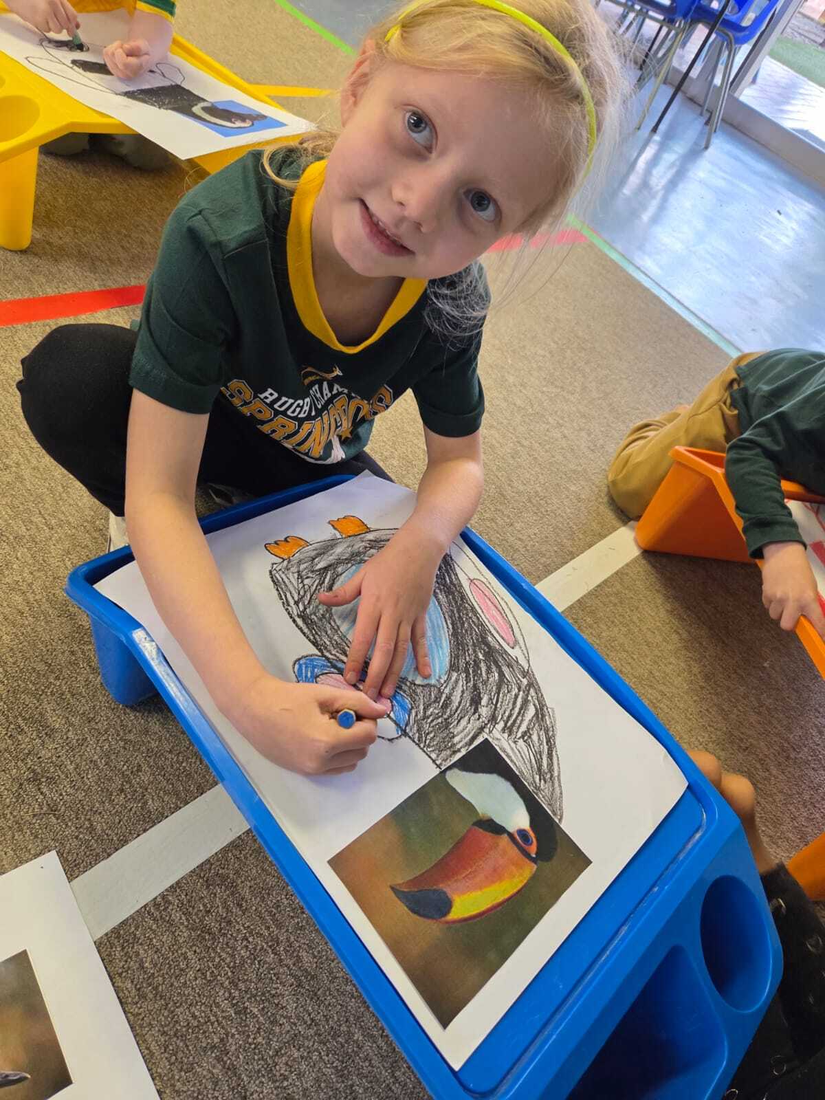Grade R Birds Term2 2026 4