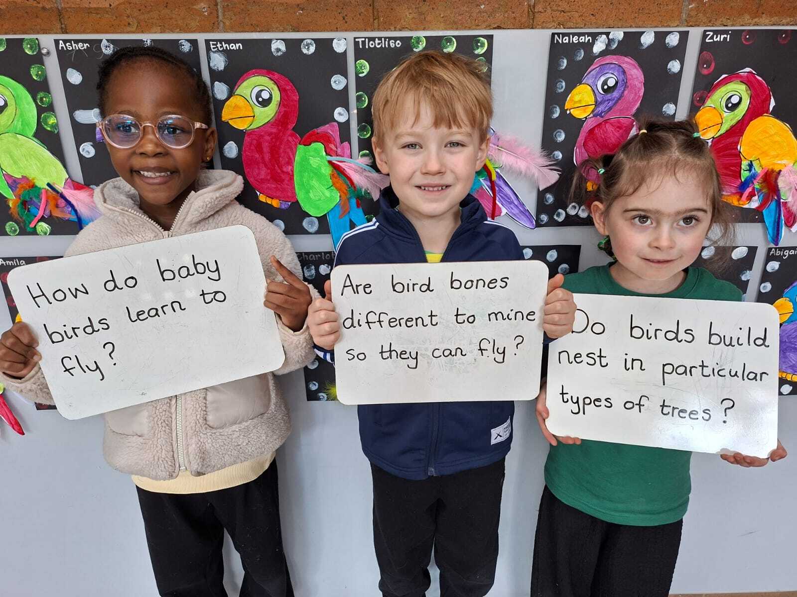 Grade R Birds Term2 2026 8