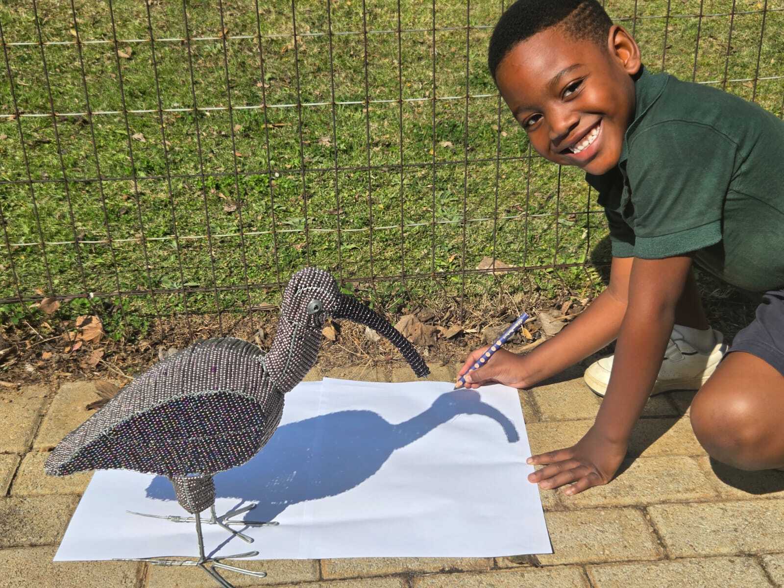 Grade R Birds Term2 2026 9