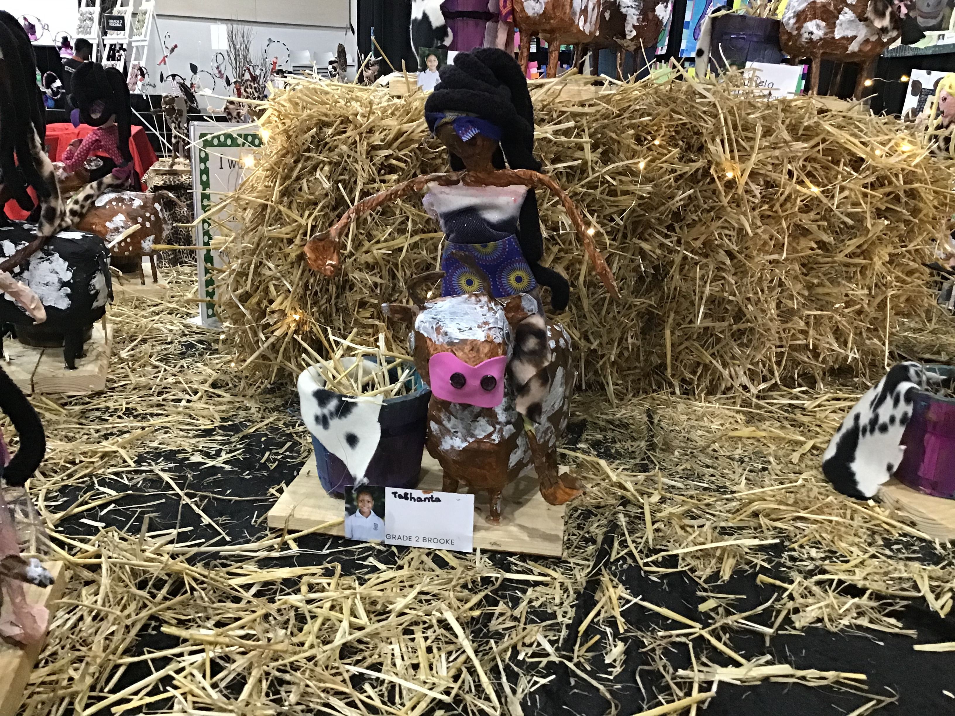 IMG 1549