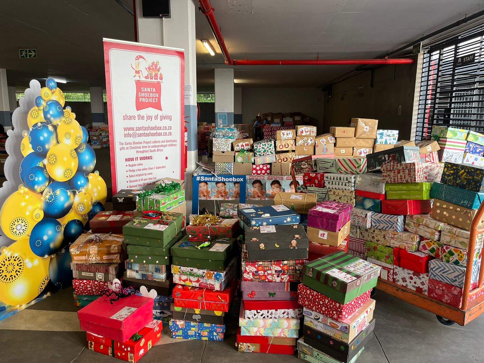 Whats App Image 2022 11 05 at 12 36 52