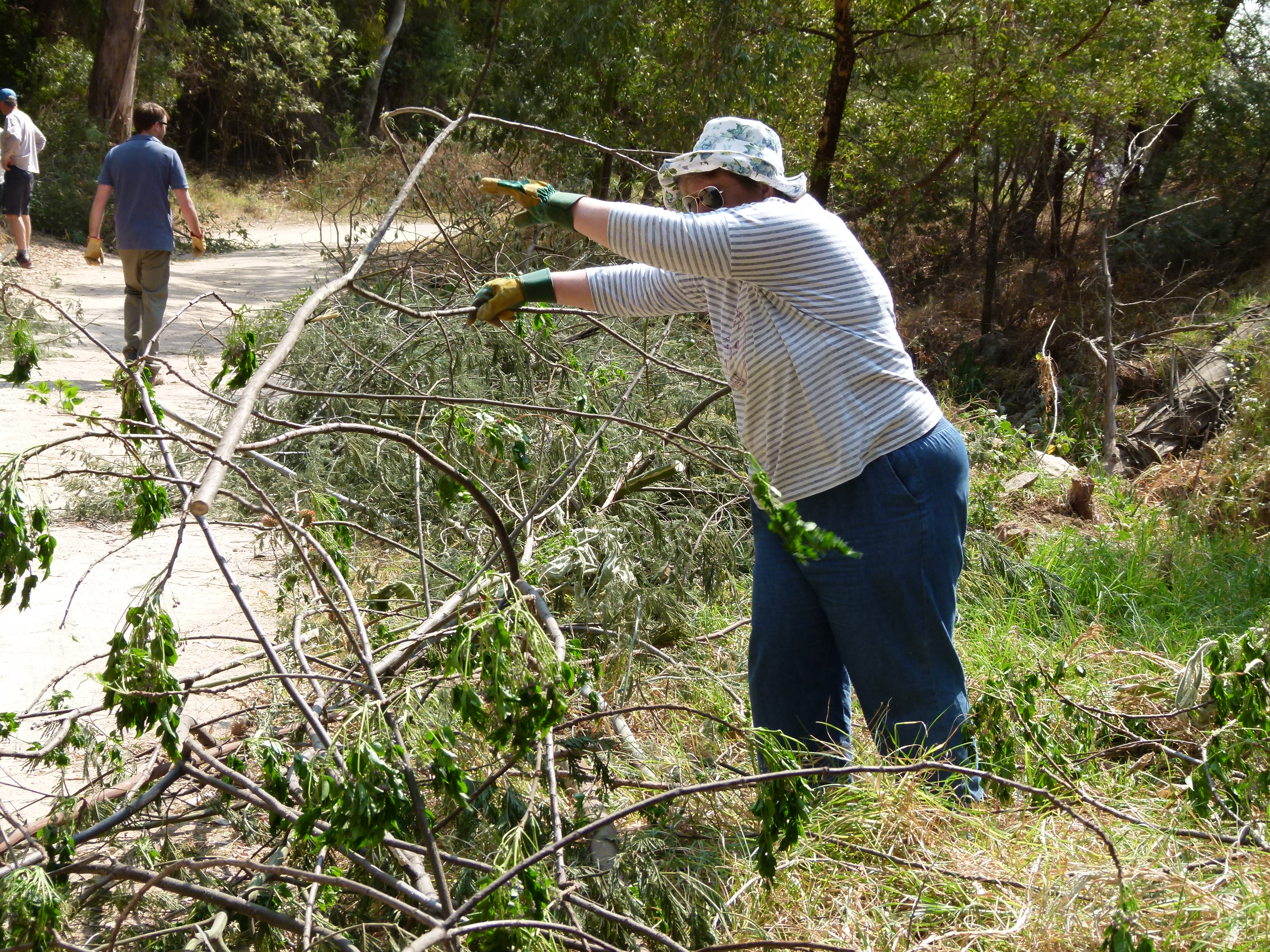 Term 3 campus action day10
