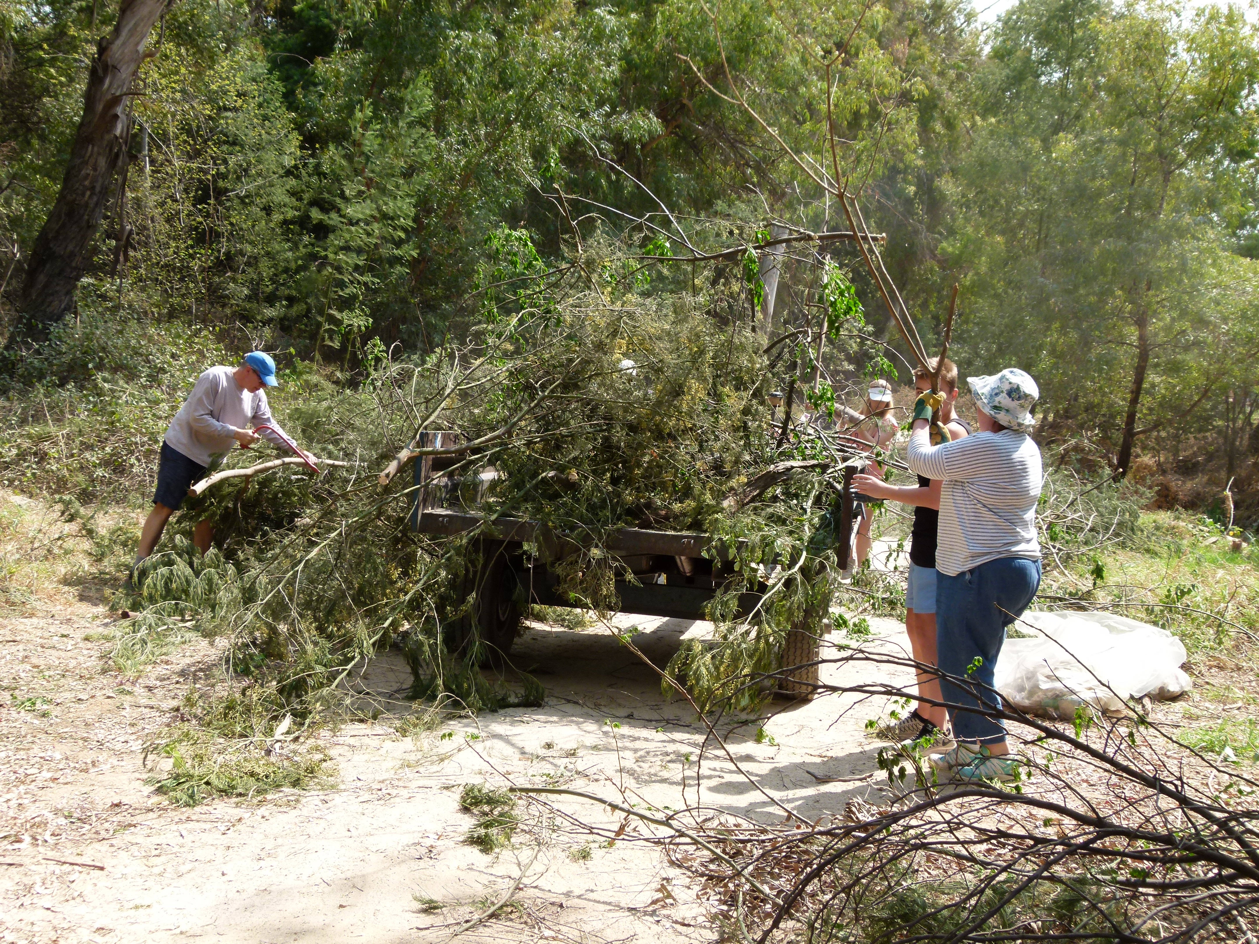 Term 3 campus action day4