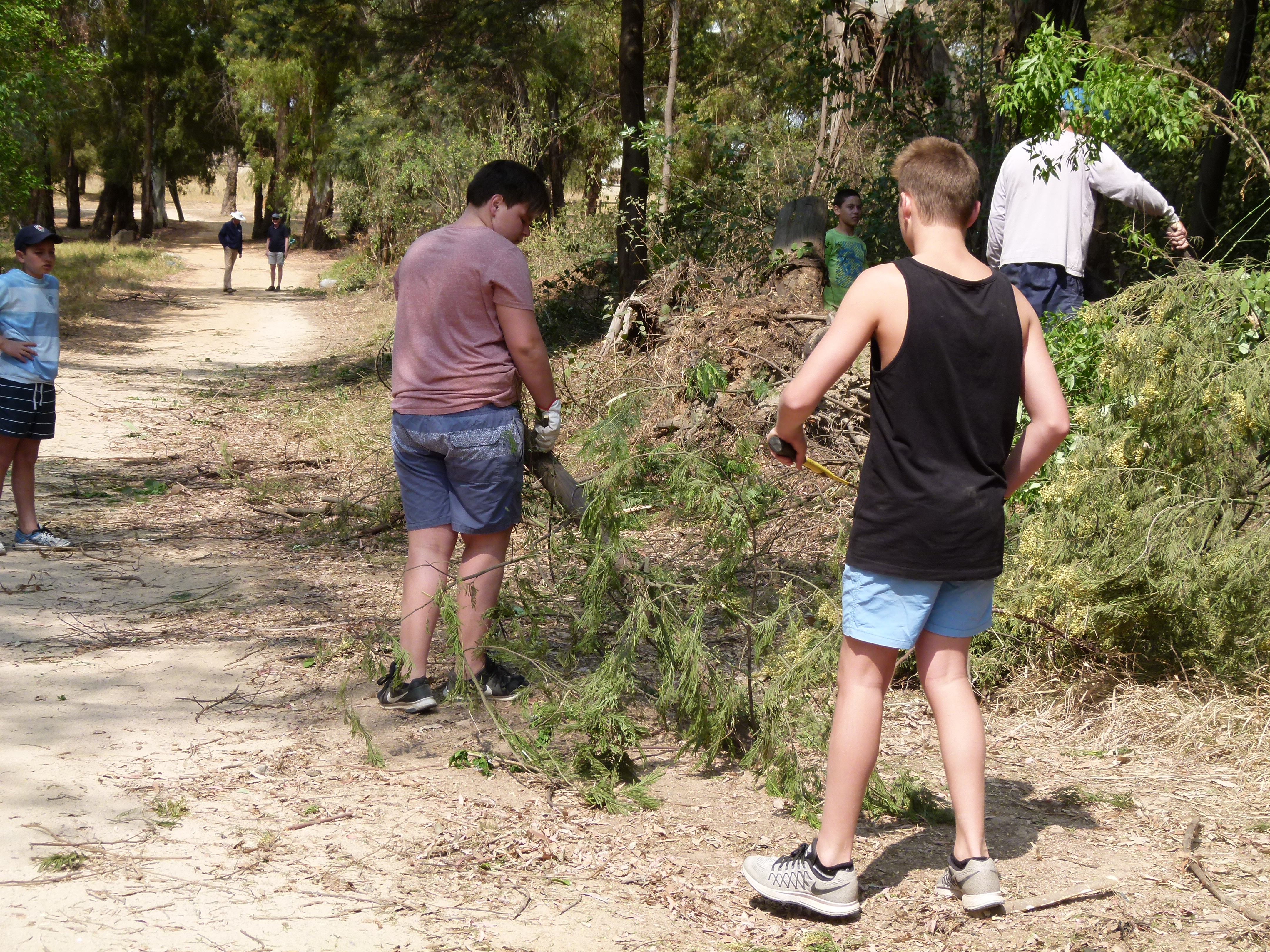 Term 3 campus action day5