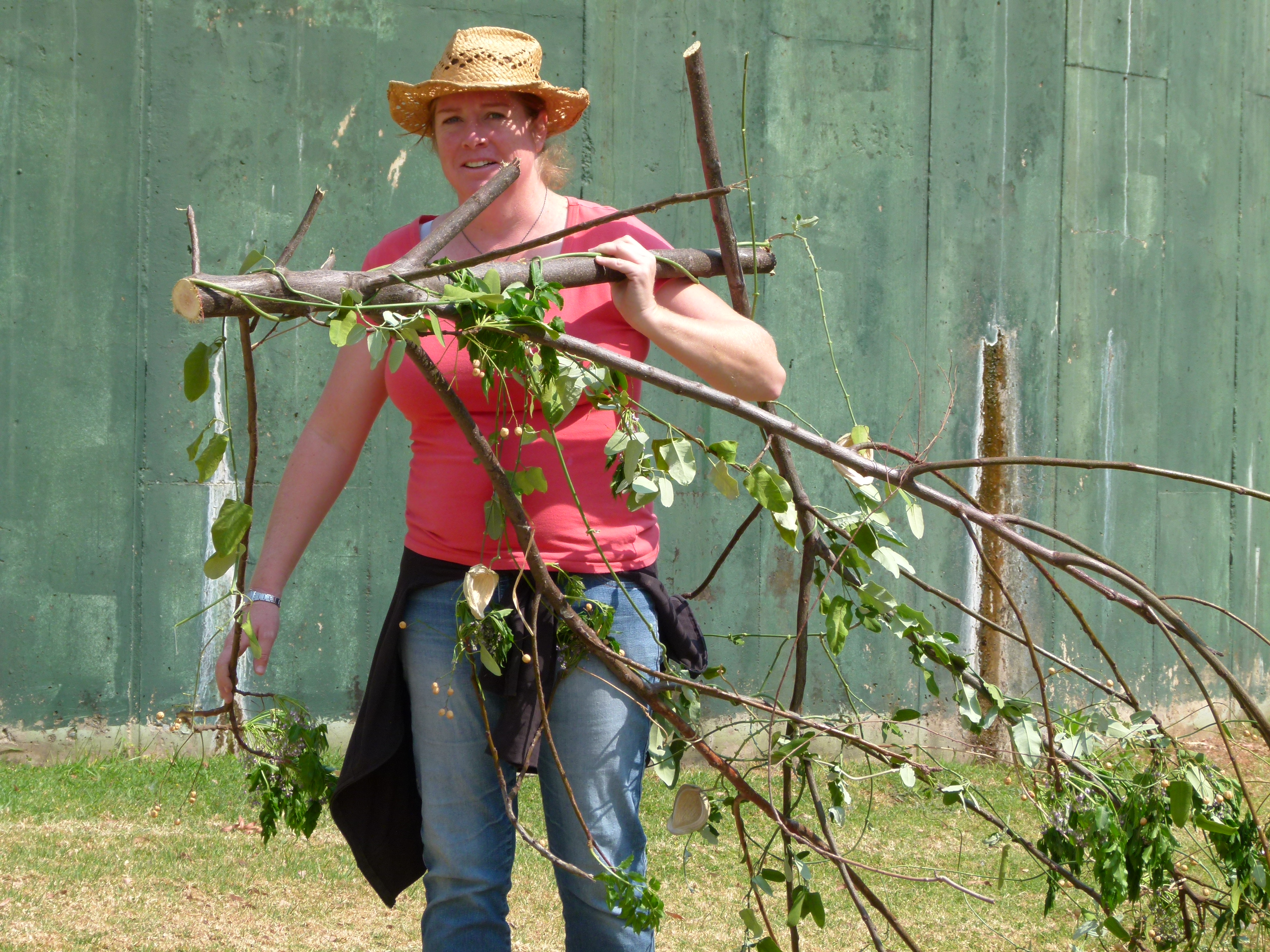 Term 3 campus action day8