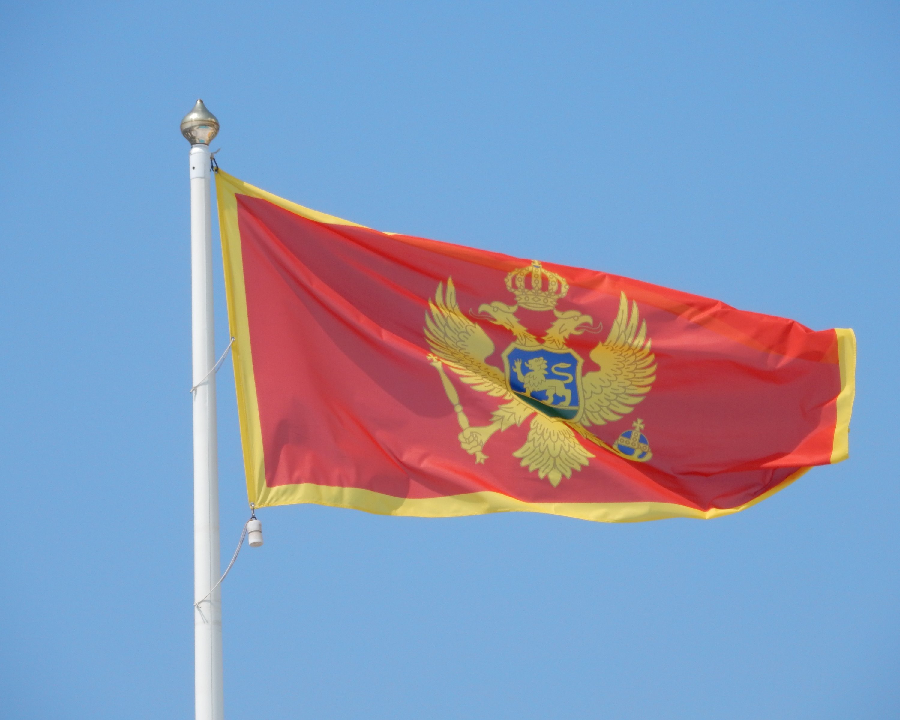 Montenegro flag