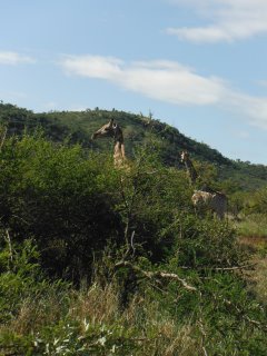Dscf2708