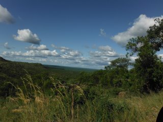 Dscf2710