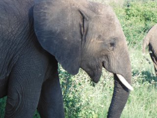 Dscf2723