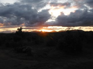 Dscf2733