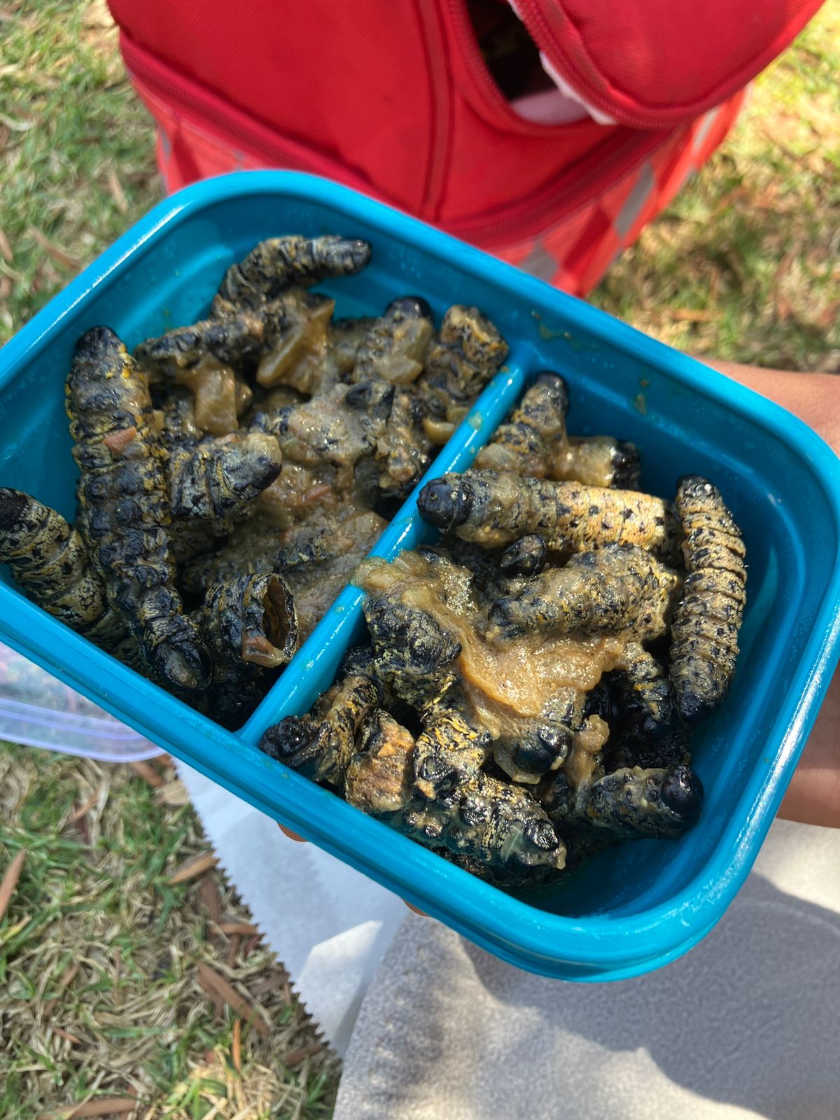 Whatsapp image 2022 09 23 at 12 06 40