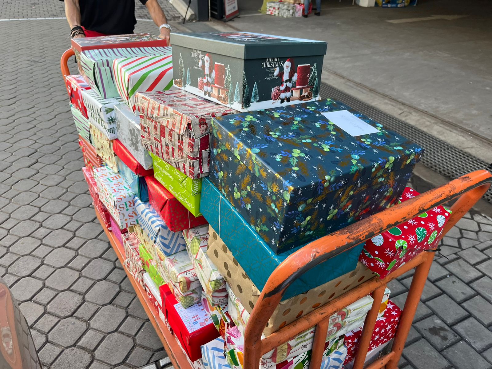 Whatsapp image 2022 11 08 at 18 04 46