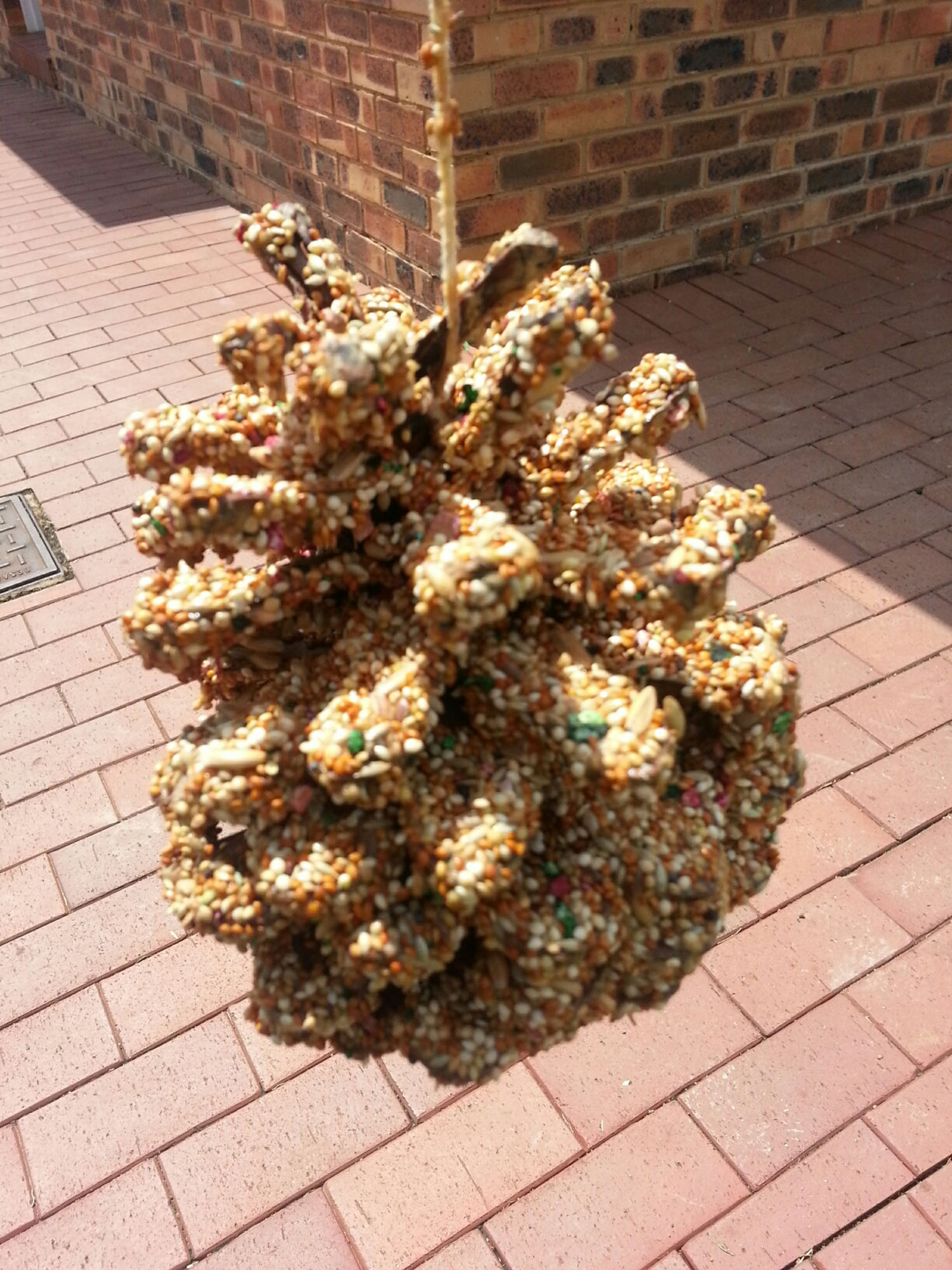 Bird Feeder