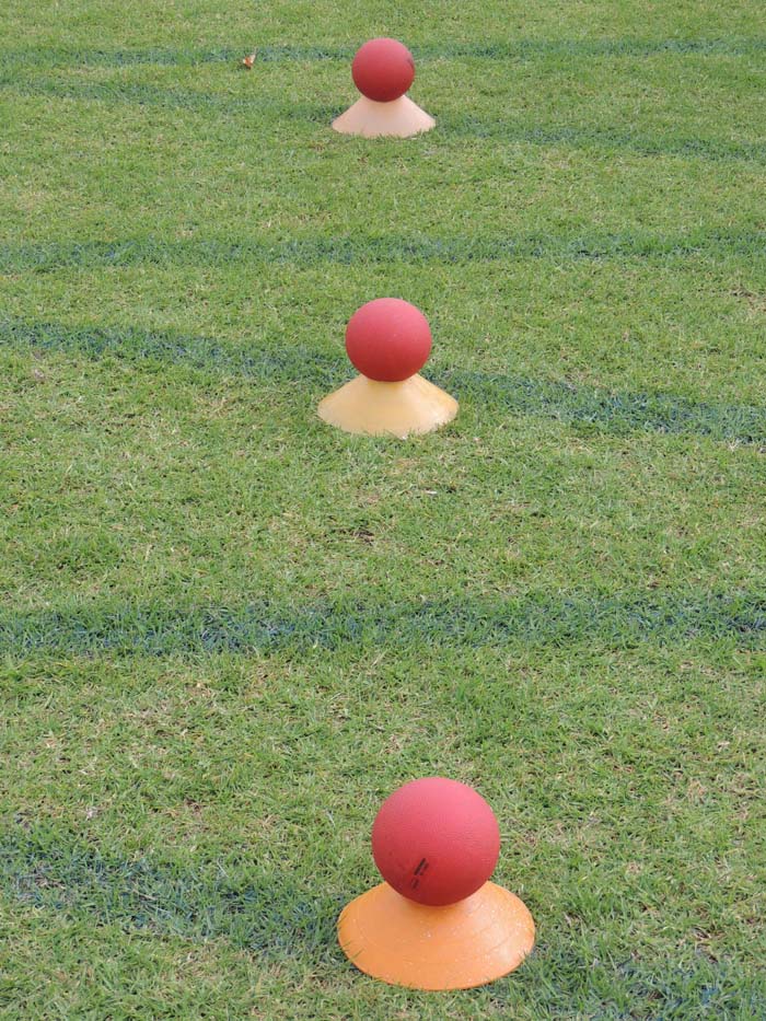 DSCN2561