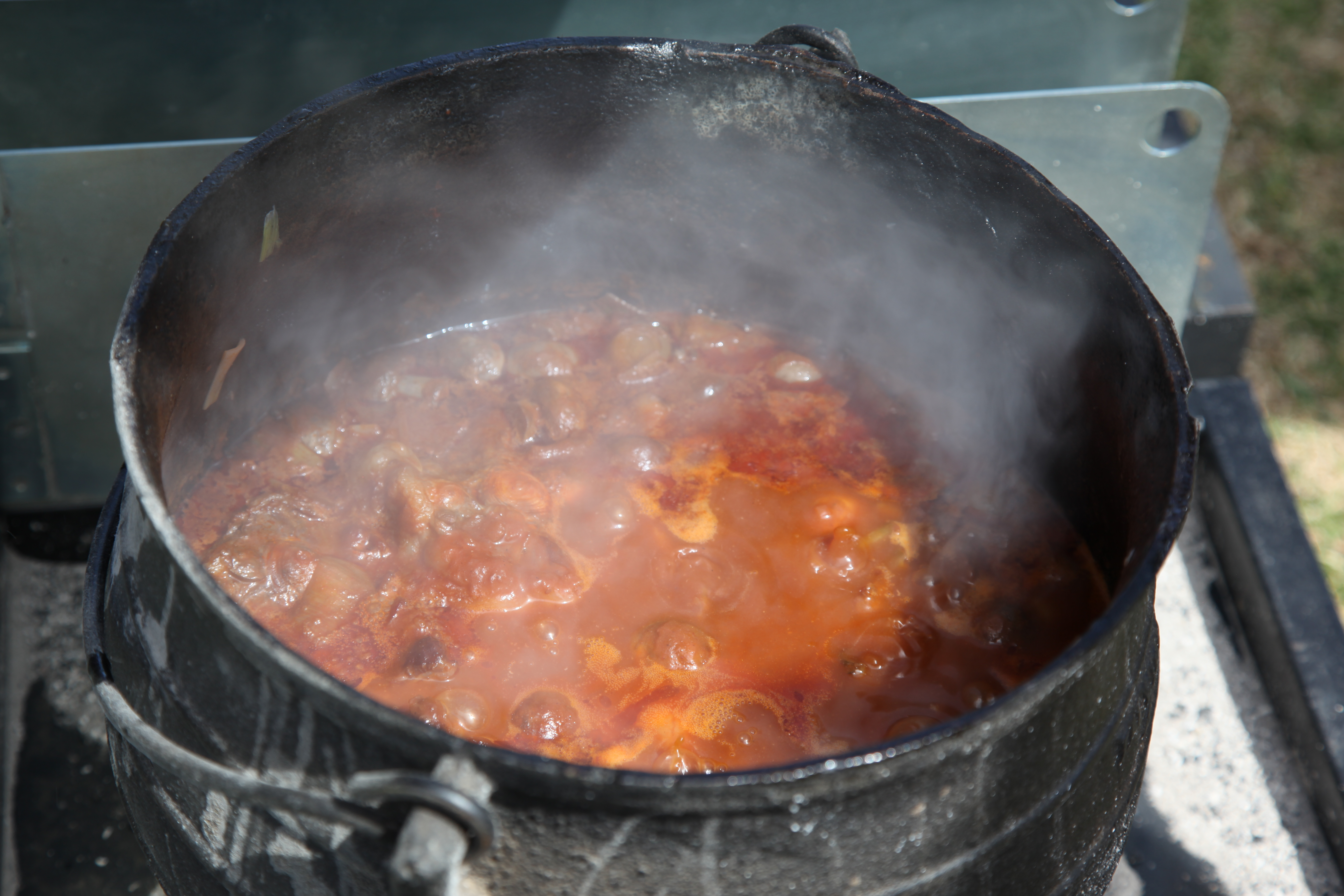 Melting Pot 2018 132