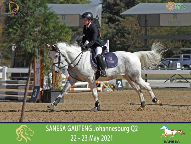 Equestrian